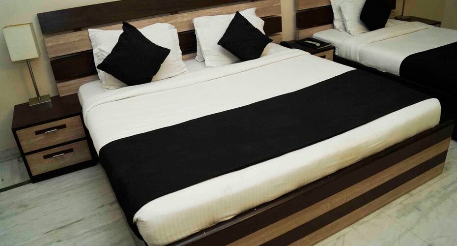 Hotel Maharaja Residency, Jaipur 2